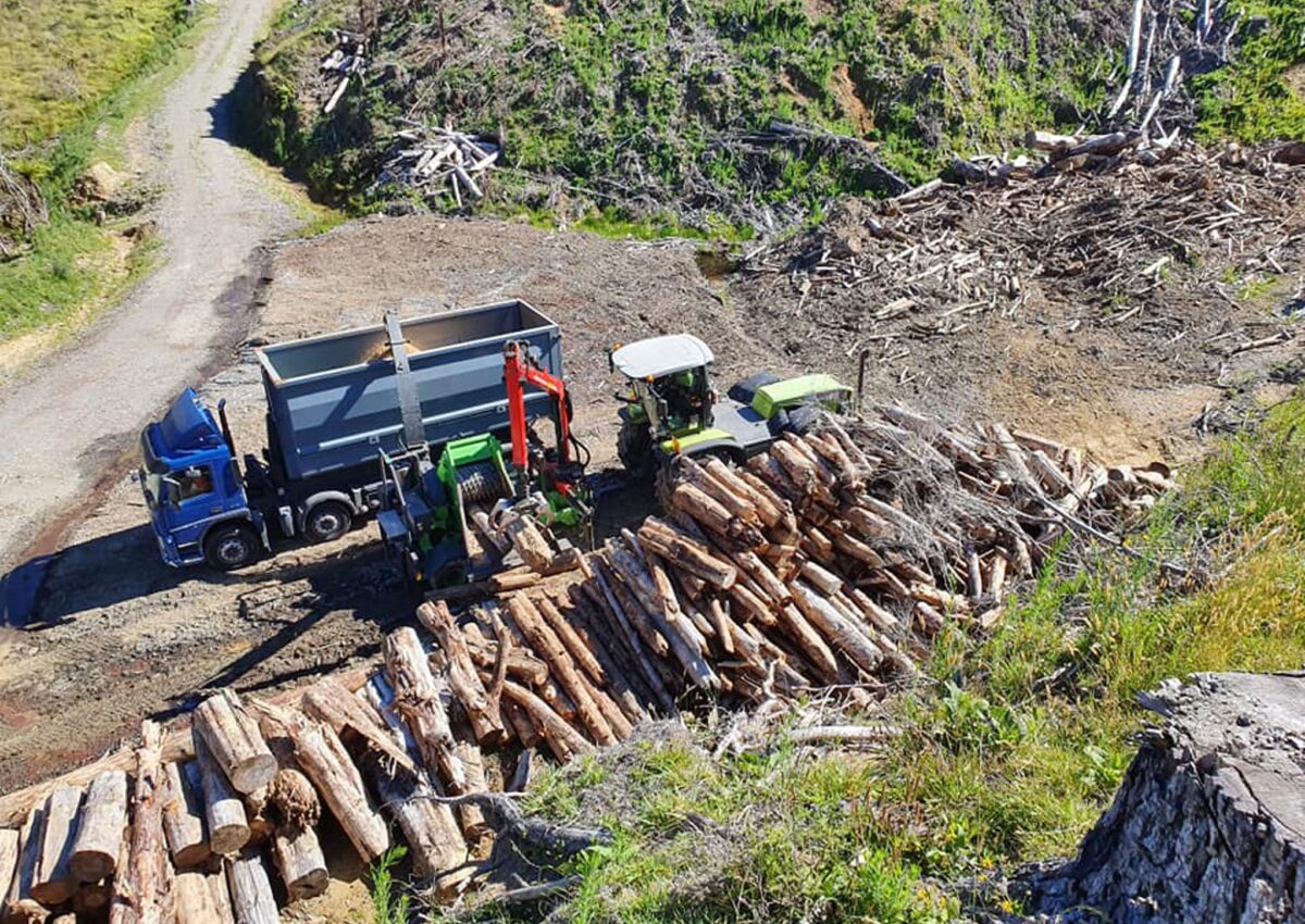 hunger_contracting_tree_removal_forestry_equipment_1