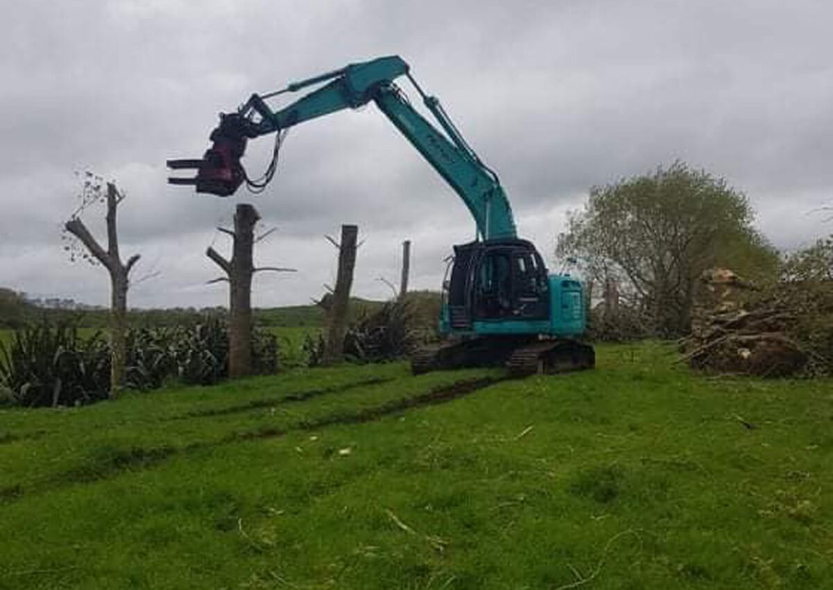 hunger_contracting_tree_removal_forestry_equipment_2