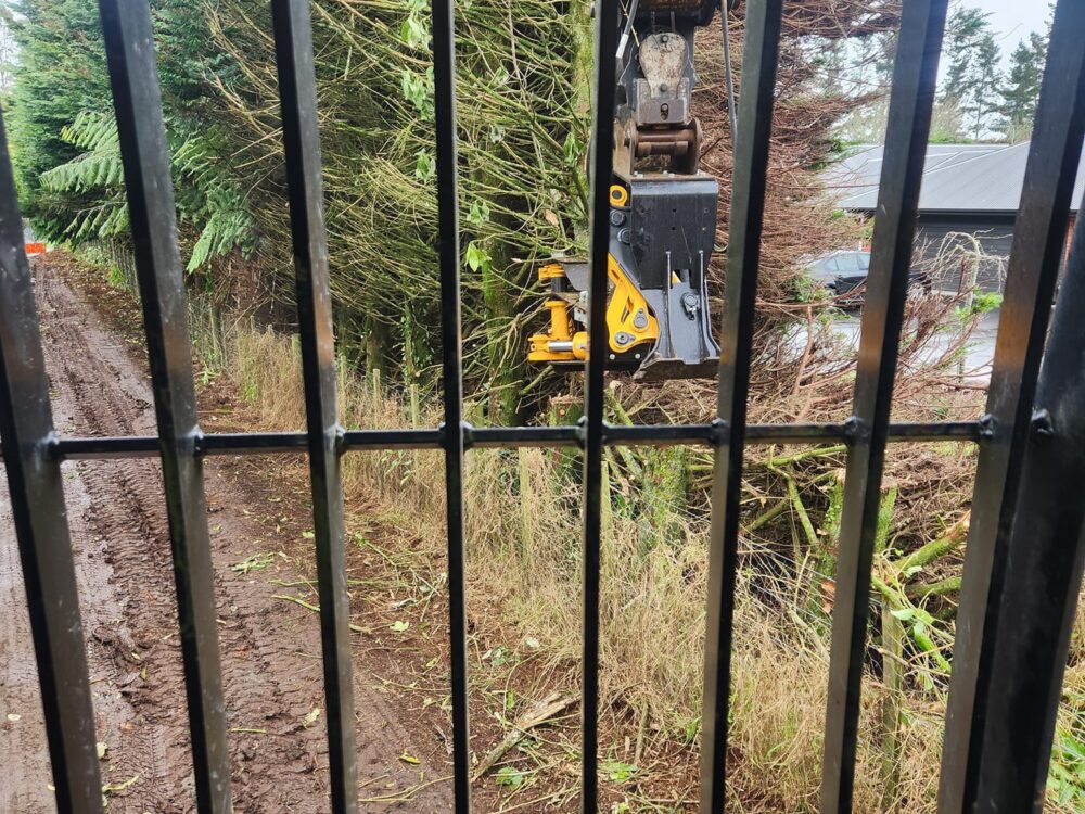 hunger_contracting_tree_removal_forestry_equipment_62