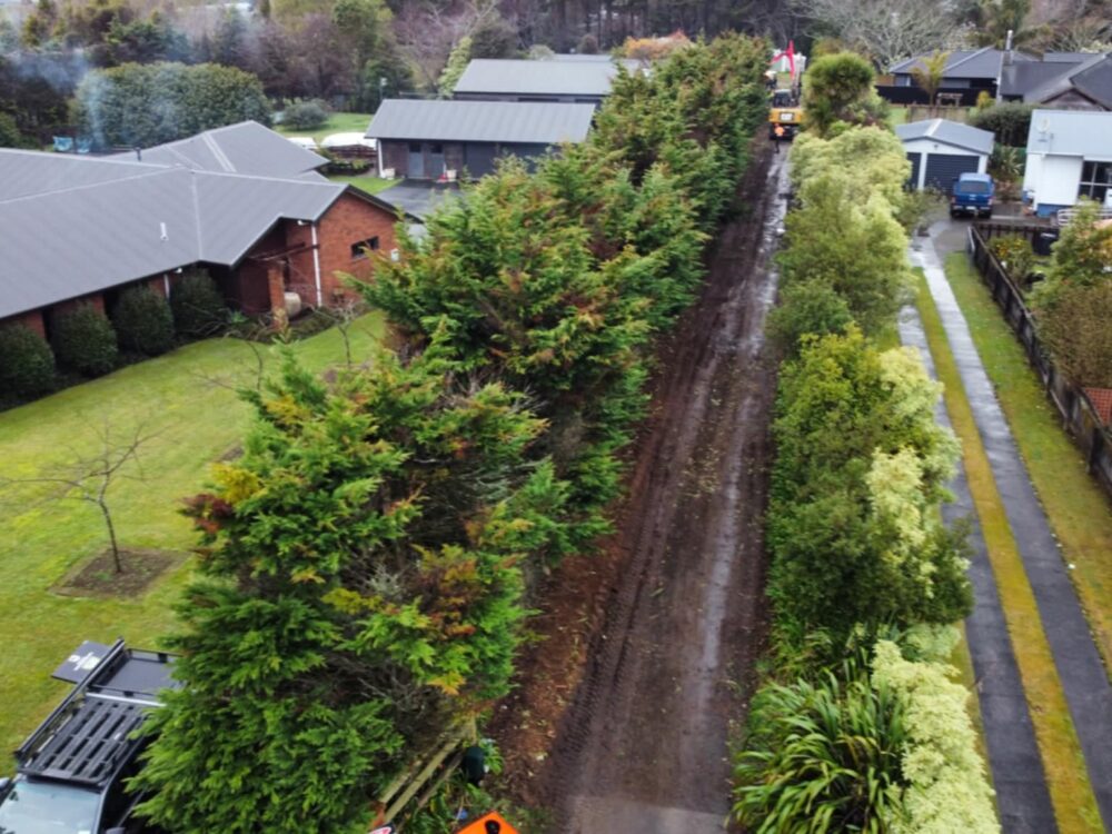 hunger_contracting_tree_removal_forestry_equipment_64
