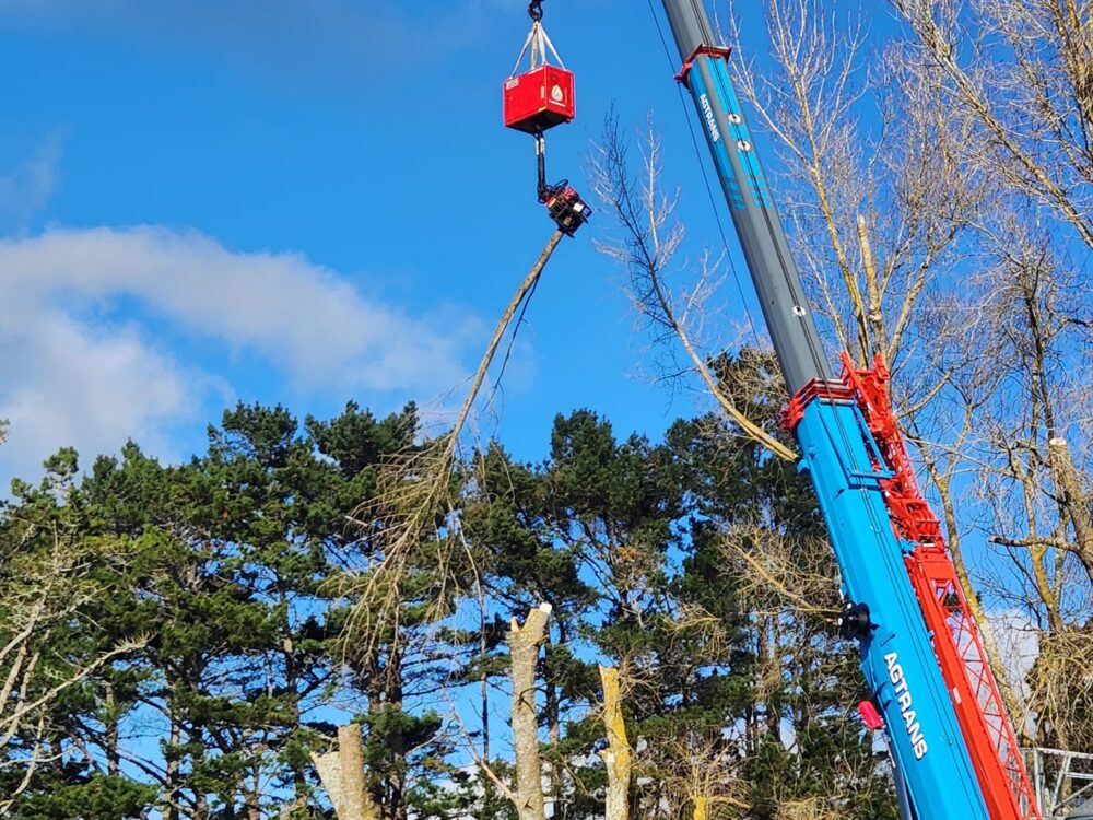 hunger_contracting_tree_removal_forestry_equipment_69