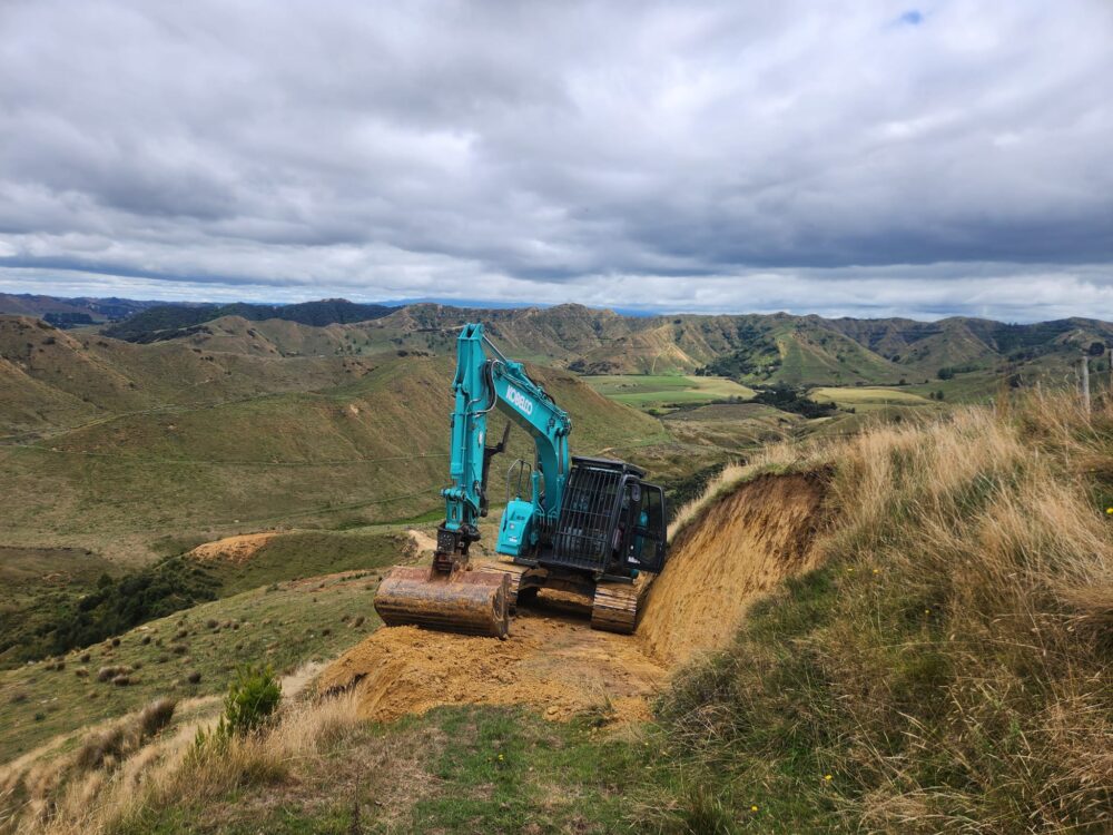 hunger_contracting_tree_removal_services_earthmoving_10