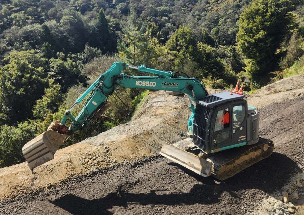 hunger_contracting_tree_removal_services_earthmoving_17