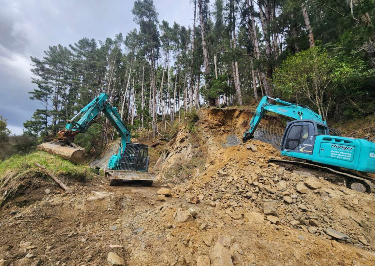 hunger_contracting_tree_removal_services_earthmoving_18