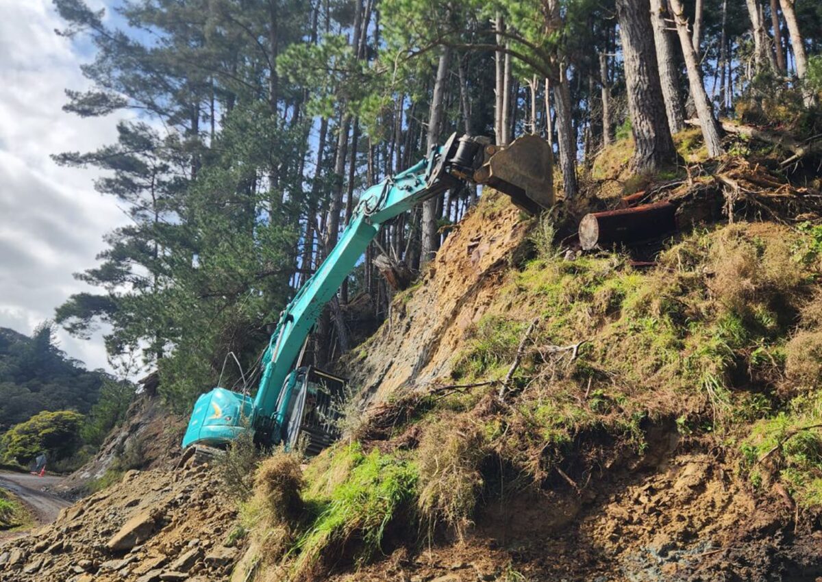 hunger_contracting_tree_removal_services_earthmoving_19