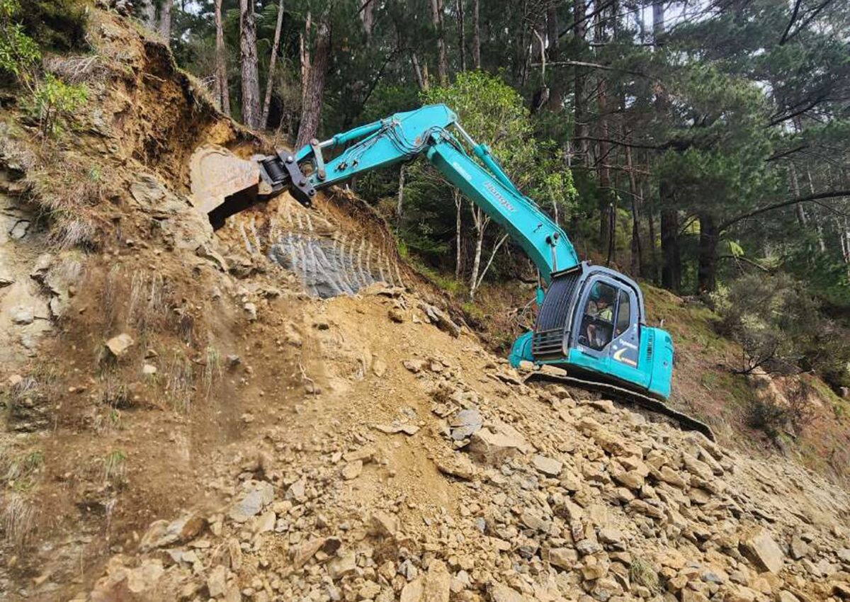 hunger_contracting_tree_removal_services_earthmoving_20