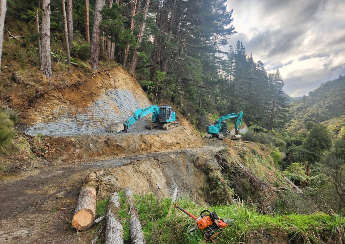 hunger_contracting_tree_removal_services_earthmoving_6
