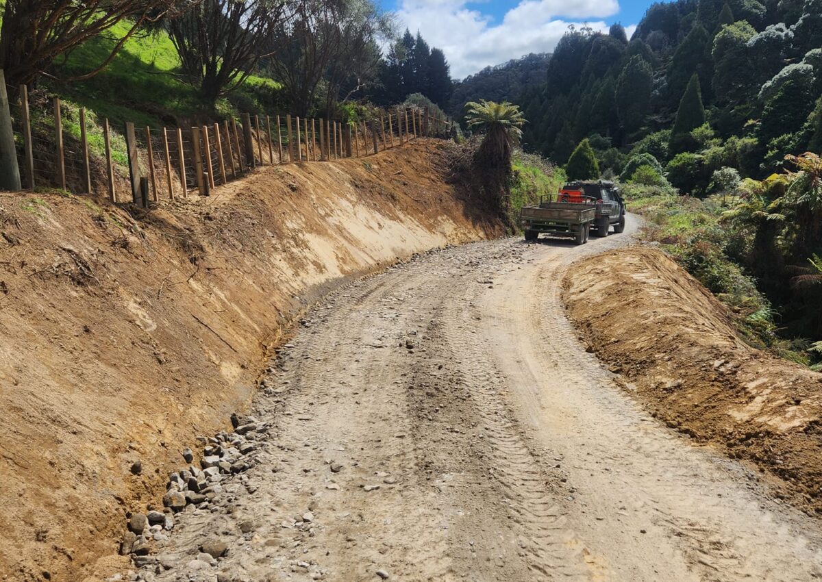 hunger_contracting_tree_removal_services_earthmoving_7