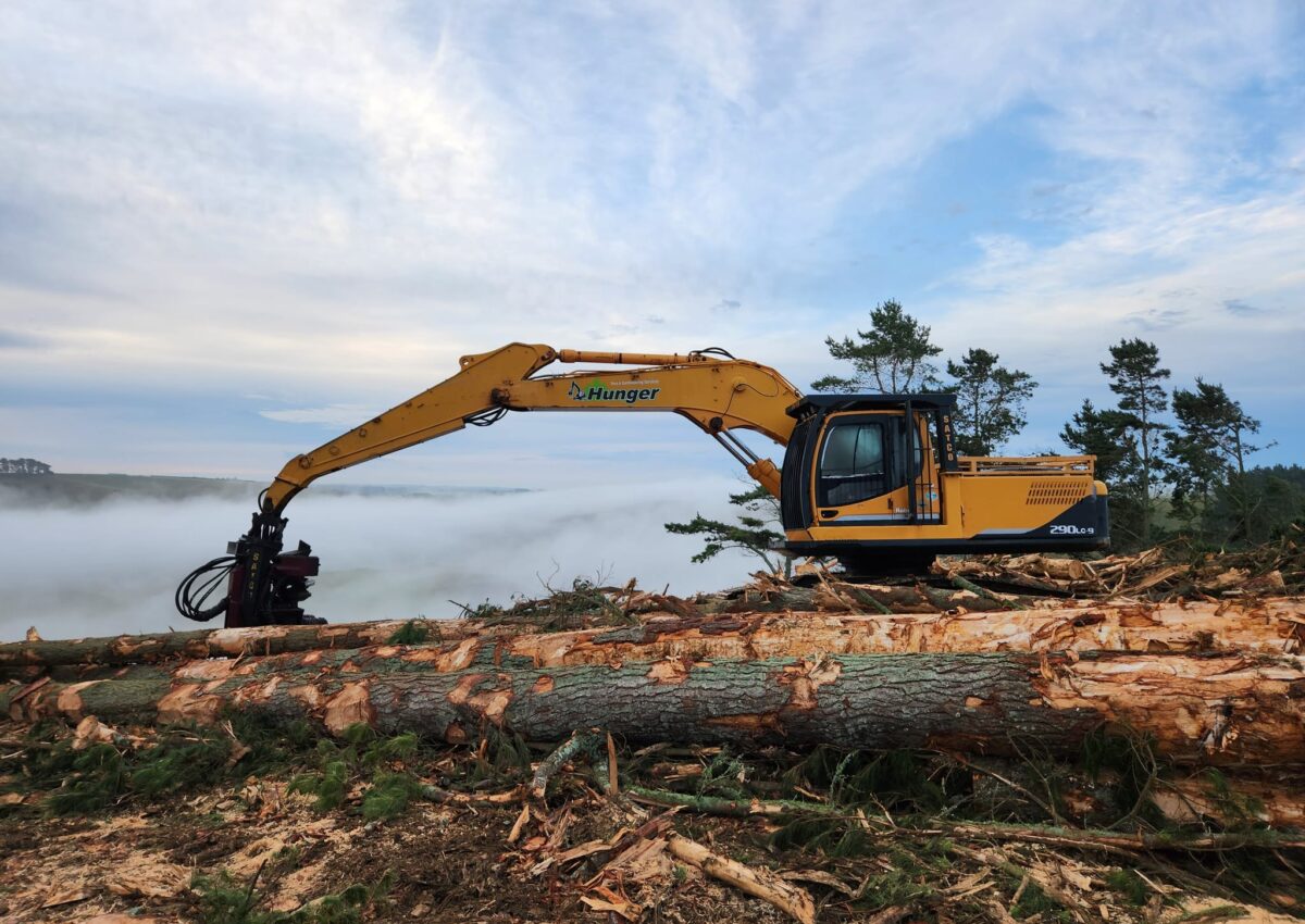 hunger_contracting_tree_removal_services_logging_woodlot_management_1