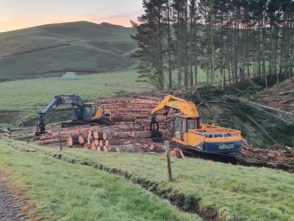 hunger_contracting_tree_removal_services_logging_woodlot_management_2