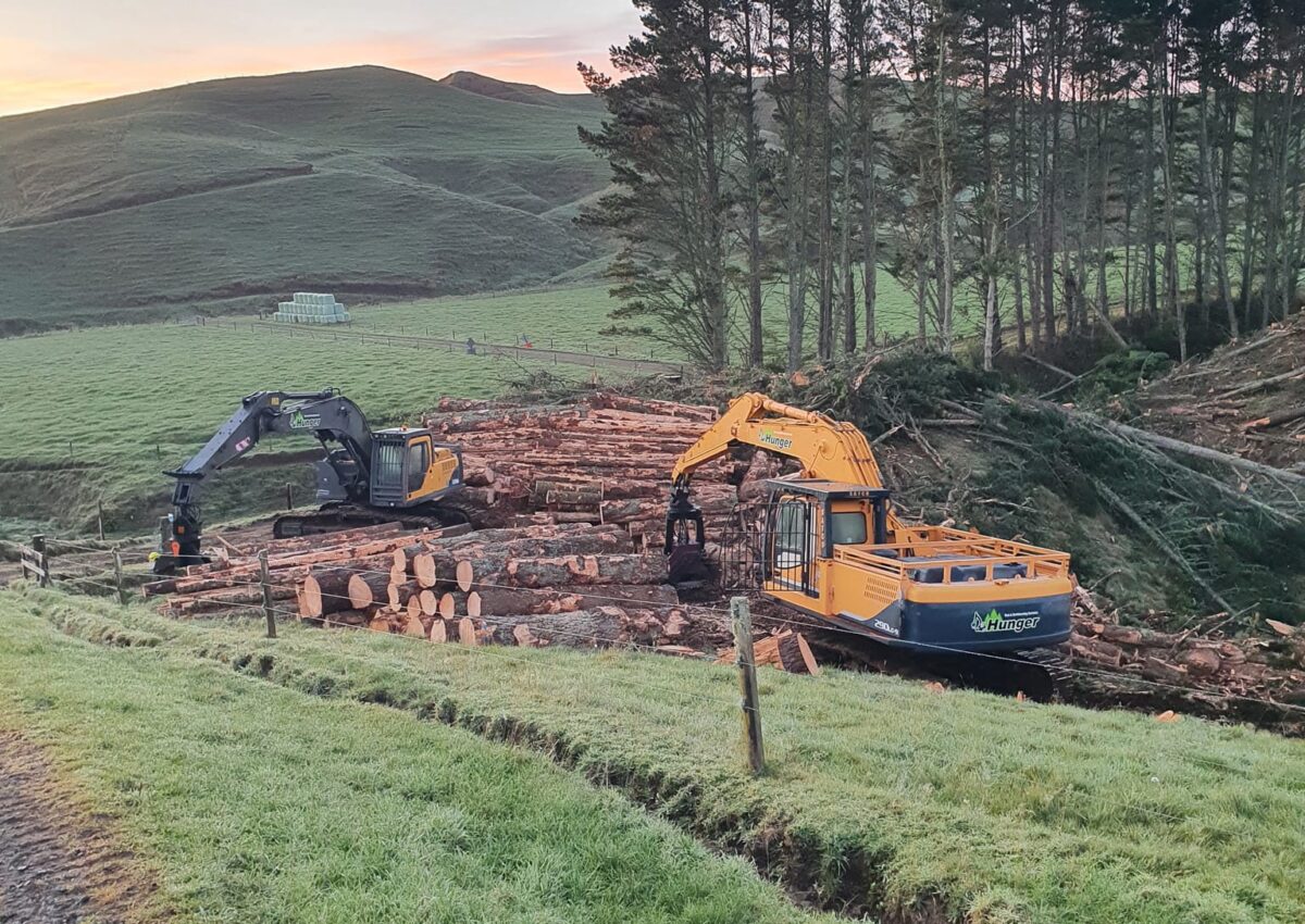 hunger_contracting_tree_removal_services_logging_woodlot_management_2
