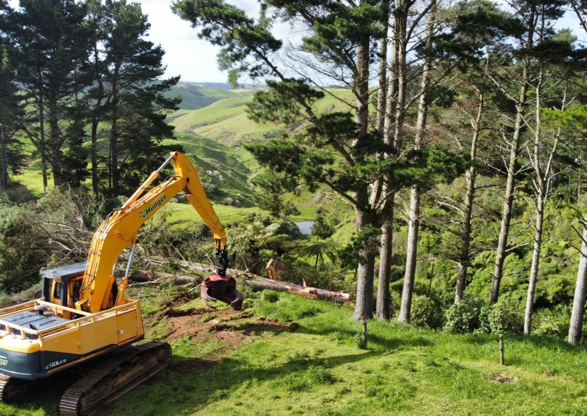 hunger_contracting_tree_removal_services_logging_woodlot_management_4