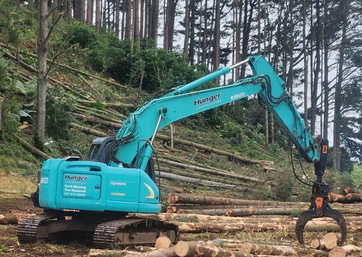 hunger_contracting_tree_removal_services_logging_woodlot_management_6