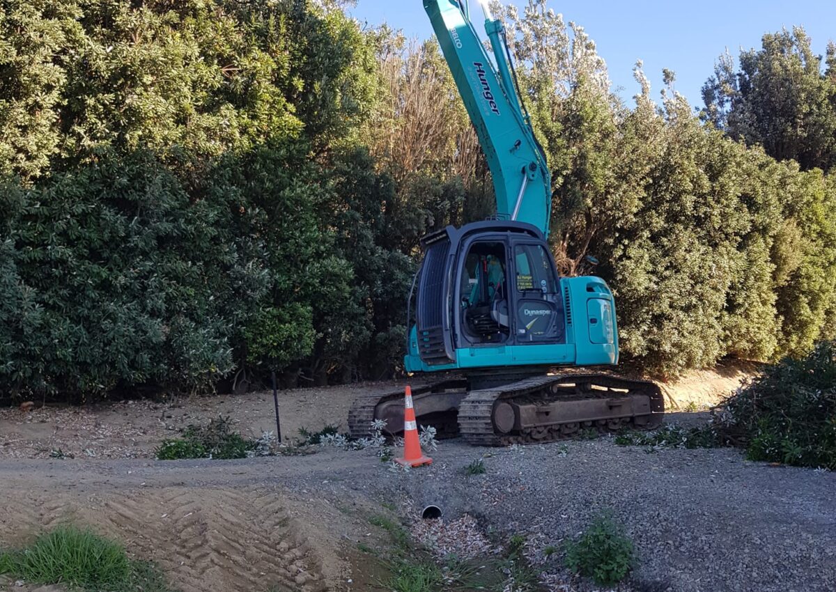 hunger_contracting_tree_removal_services_tree_removal_1