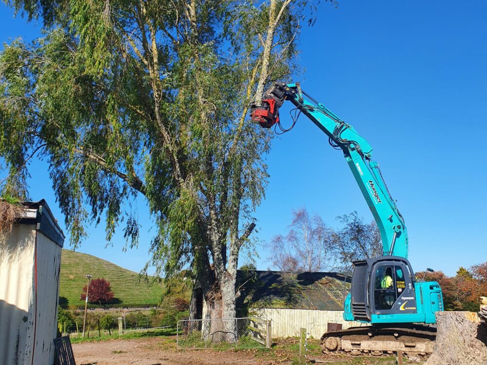 hunger_contracting_tree_removal_services_tree_removal_12