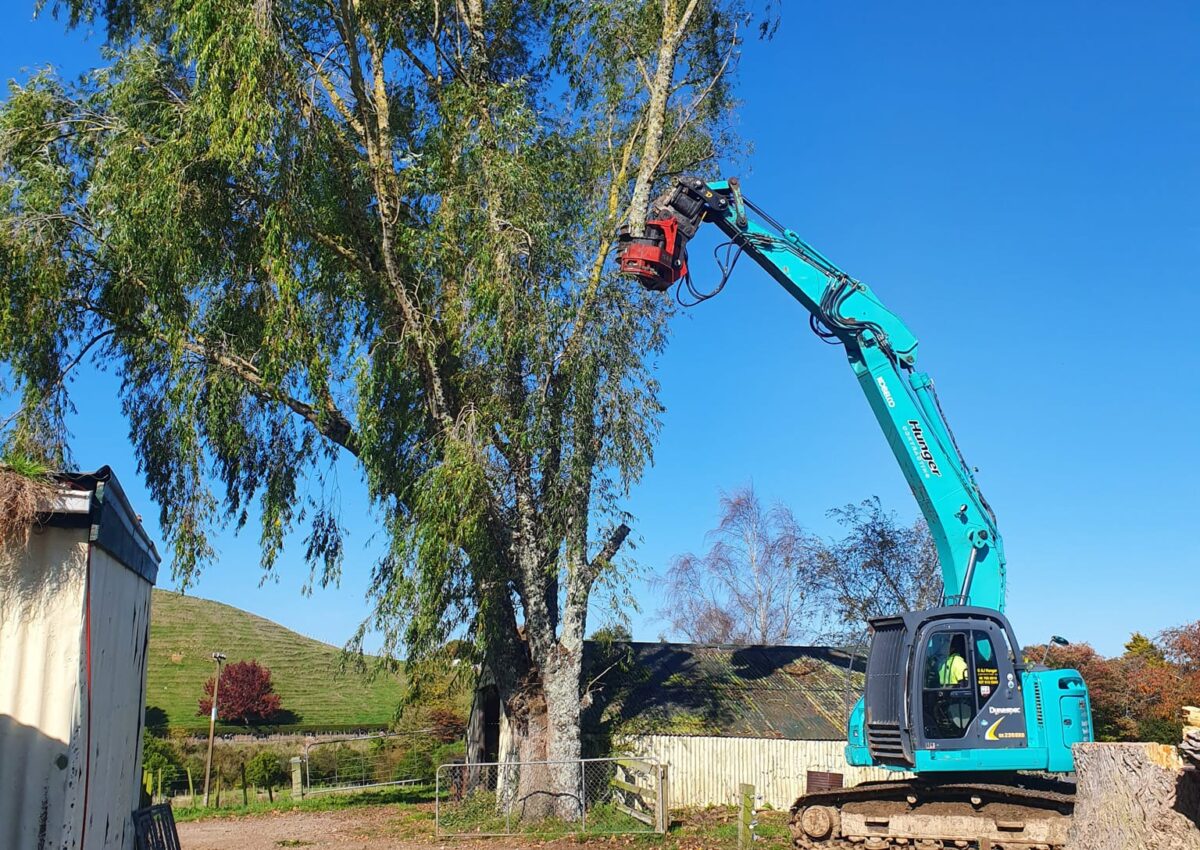 hunger_contracting_tree_removal_services_tree_removal_12