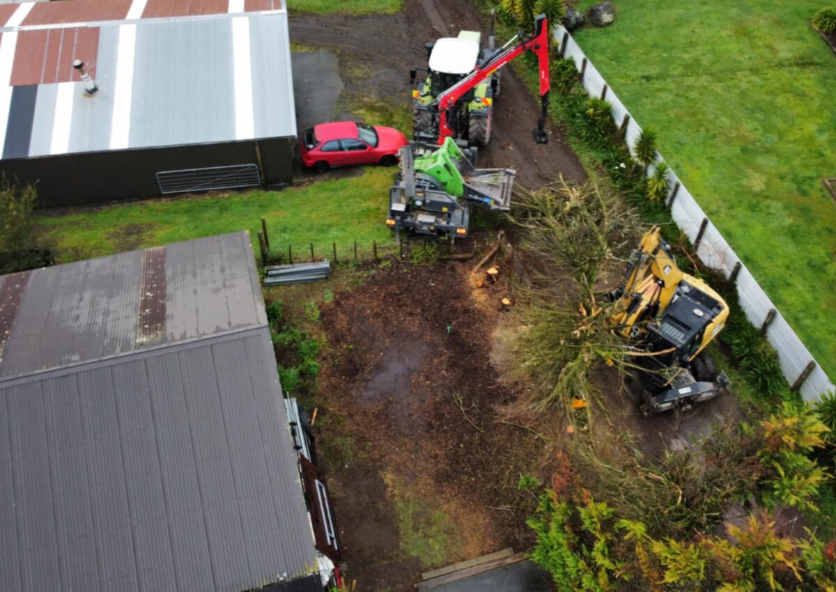 hunger_contracting_tree_removal_services_tree_removal_13
