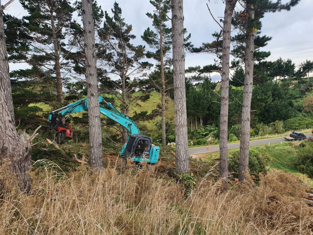 hunger_contracting_tree_removal_services_tree_removal_3