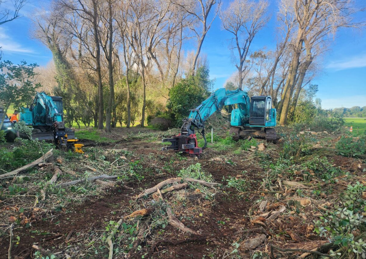 hunger_contracting_tree_removal_services_tree_removal_4