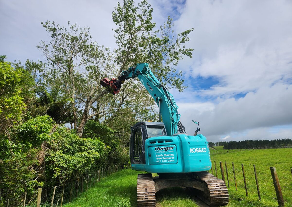 hunger_contracting_tree_removal_services_tree_removal_8